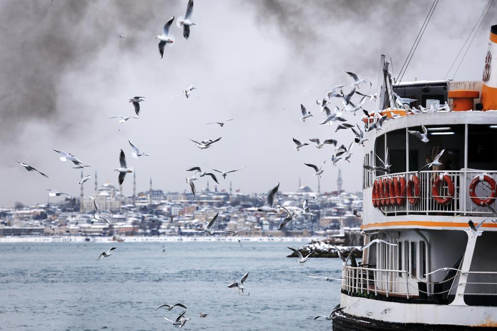 ホテル 10 Karakoy イスタンブール エクステリア 写真 The Bosphorus in winter